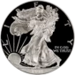 1990 S American Silver Eagle Proof Obverse View