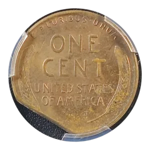 20240428_011420 1956 D Lincoln Wheat Cent 7% Straight Clip Reverse View
