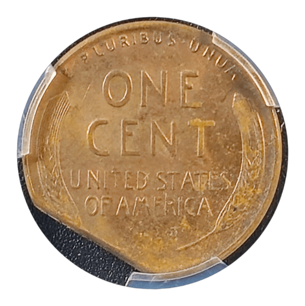 1956 D Lincoln Wheat Cent 7% Straight Clip Reverse View