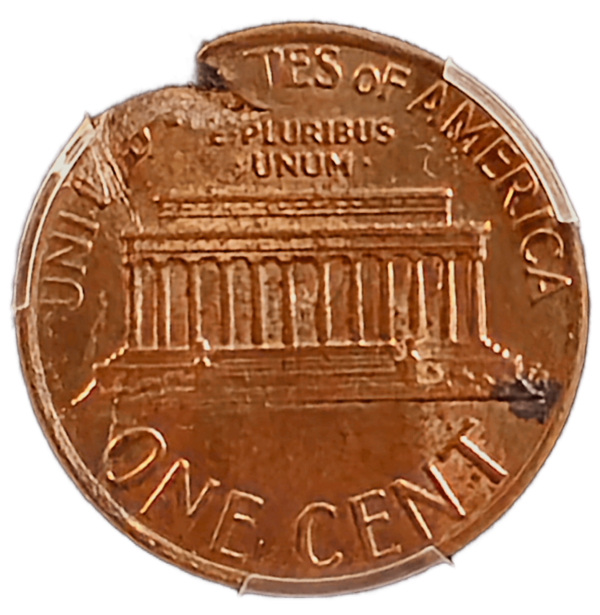 1983 Lincoln Cent on Defective Planchet PCGS MS63 RB Reverse View