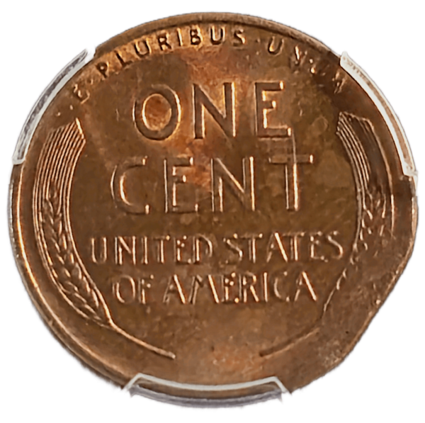 1944 Lincoln Cent Tapered Planchet PCGS MS63 BN Reverse View