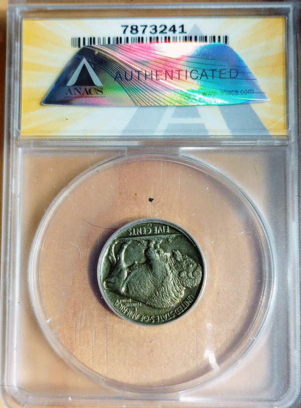 1913 S Buffalo Nickel Type 2