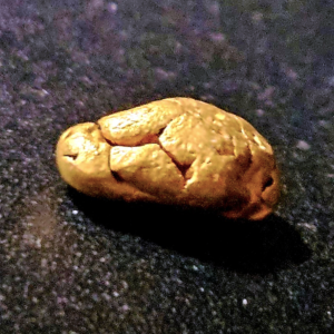 Sonora Mexico 2.45 gram gold nugget